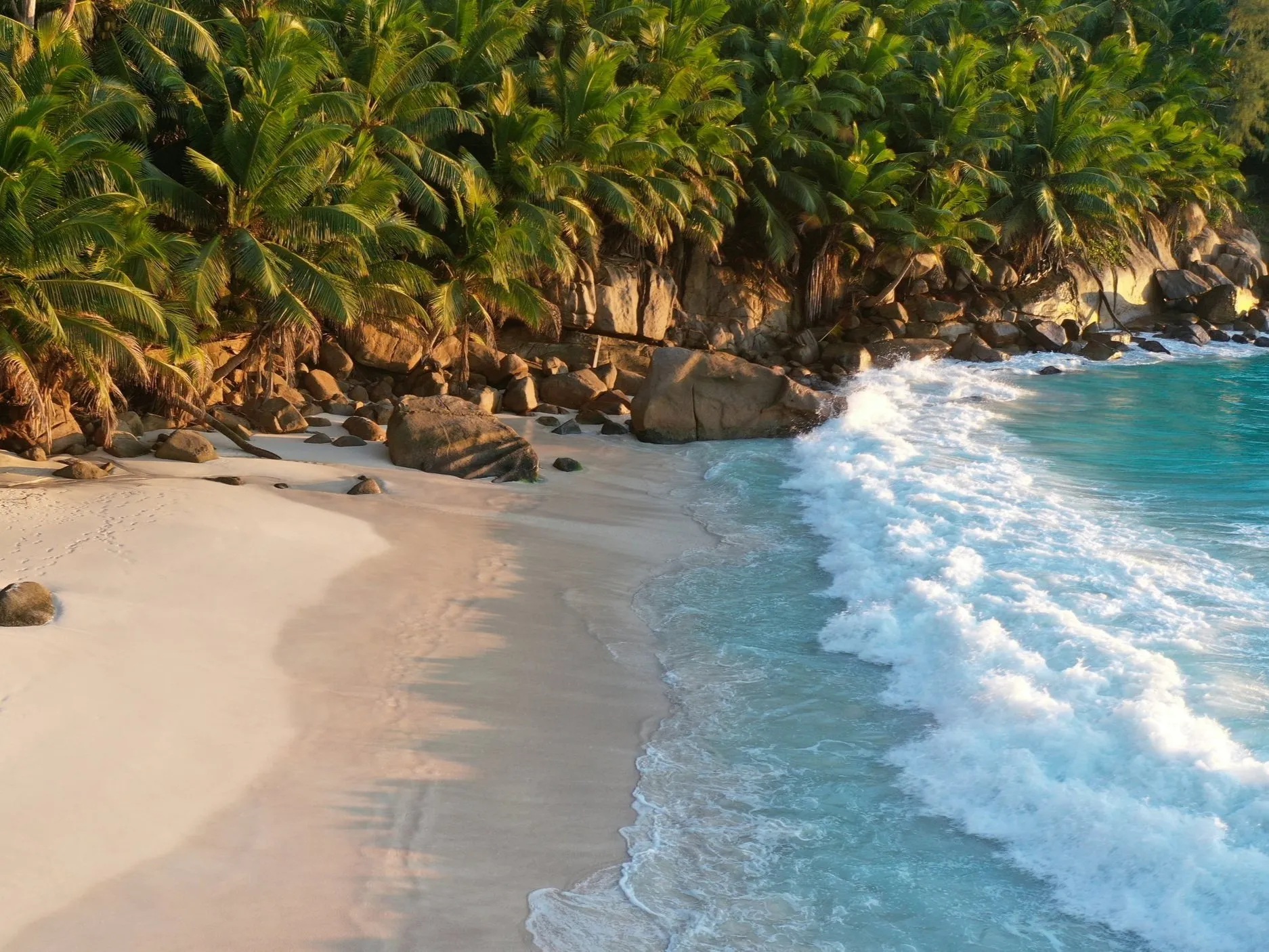 Tropical beach with turquoise water and palm trees