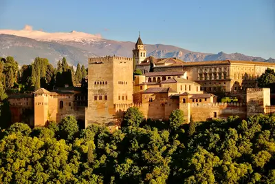 brown concrete castle surrounded by green trees during daytime
